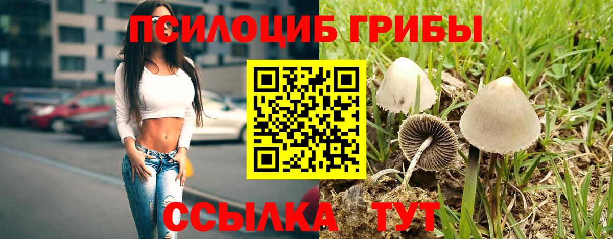 Галлюциногенные грибы Psilocybine cubensis  сколько стоит  Владикавказ  Вход с VPN 